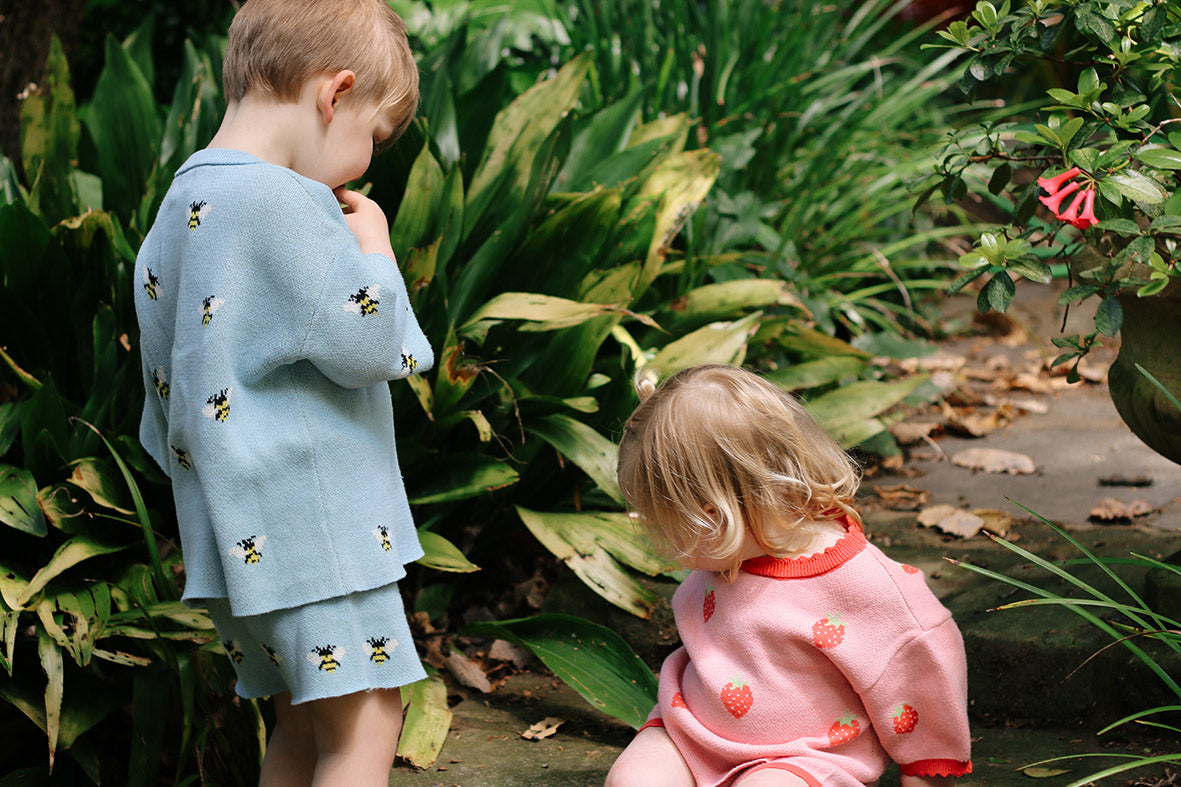 Strawberry Fields Adventure Set