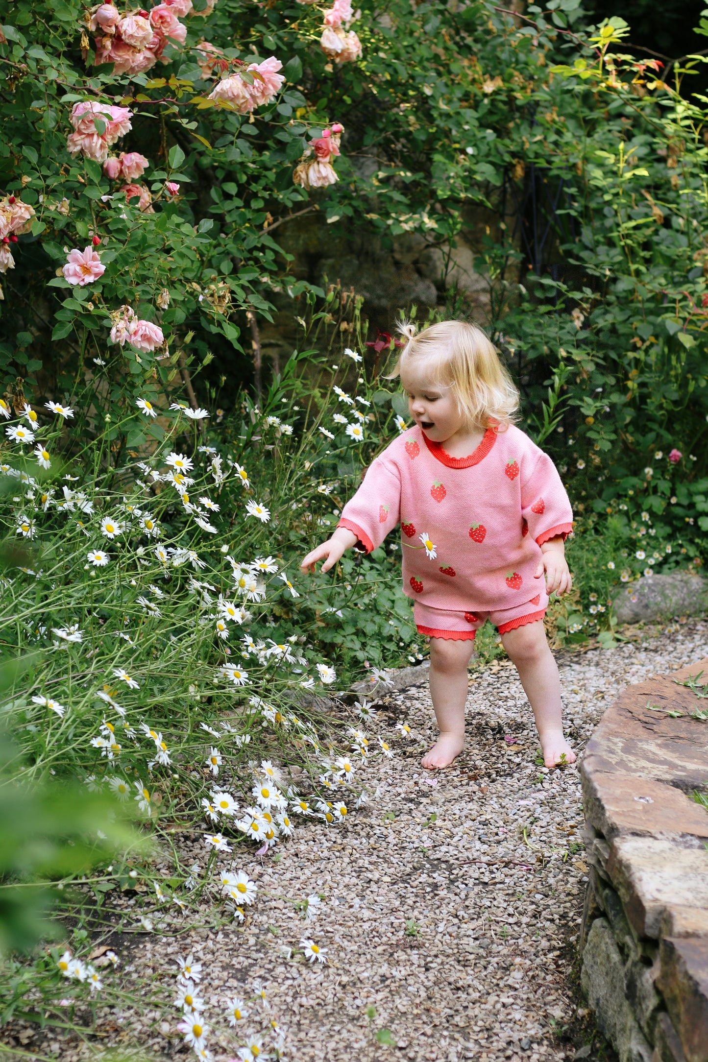 Strawberry Fields Adventure Set